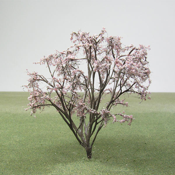 Model Athel trees